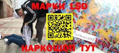 твердый Гатчина