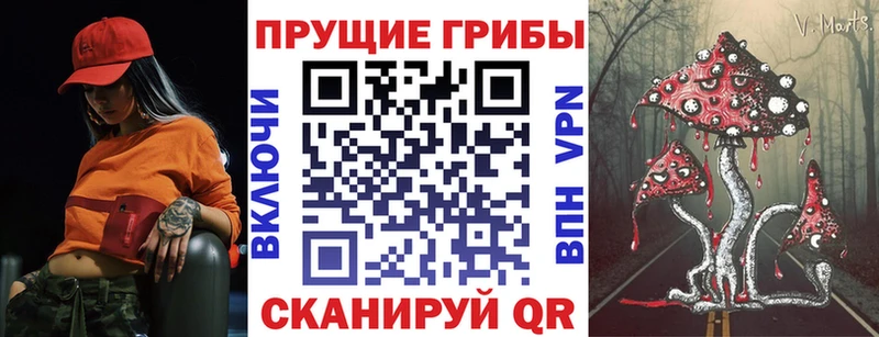 Псилоцибиновые грибы Magic Shrooms  где купить наркоту  Кисловодск 
