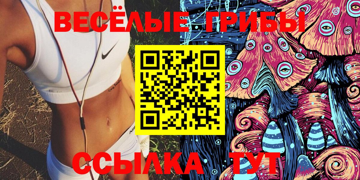 Псилоцибиновые грибы GOLDEN TEACHER  Кисловодск 