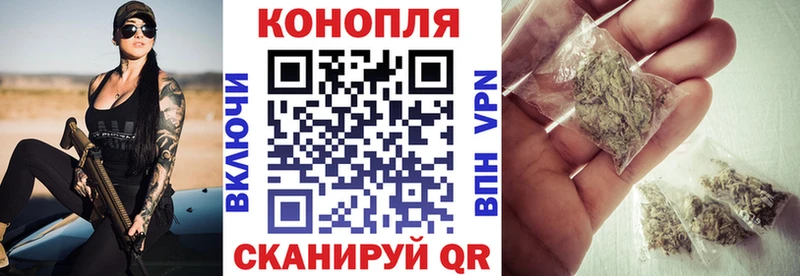 OMG ТОР  Кисловодск  Марихуана гибрид 